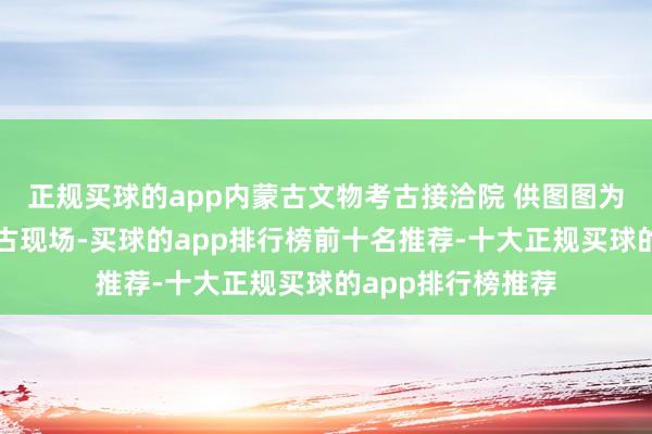 正规买球的app内蒙古文物考古接洽院 供图图为元宝山积石冢考古现场-买球的app排行榜前十名推荐-十大正规买球的app排行榜推荐