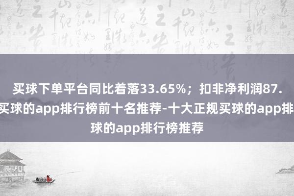 买球下单平台同比着落33.65%；扣非净利润87.09万元-买球的app排行榜前十名推荐-十大正规买球的app排行榜推荐