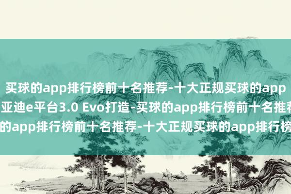 买球的app排行榜前十名推荐-十大正规买球的app排行榜推荐新车基于比亚迪e平台3.0 Evo打造-买球的app排行榜前十名推荐-十大正规买球的app排行榜推荐