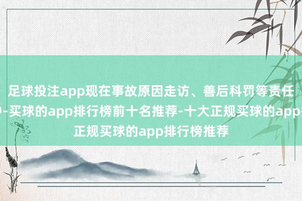 足球投注app现在事故原因走访、善后科罚等责任仍在进行中-买球的app排行榜前十名推荐-十大正规买球的app排行榜推荐