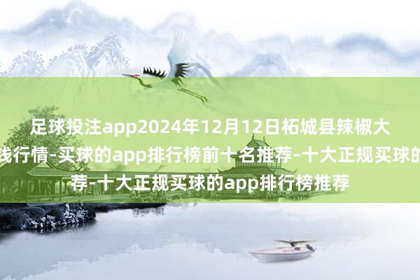 足球投注app2024年12月12日柘城县辣椒大市集有限公司价钱行情-买球的app排行榜前十名推荐-十大正规买球的app排行榜推荐