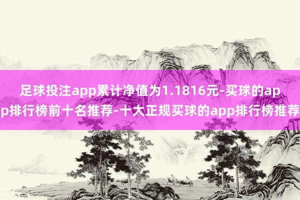 足球投注app累计净值为1.1816元-买球的app排行榜前十名推荐-十大正规买球的app排行榜推荐